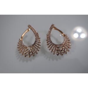 Gold Hoops Earrings Costume Jewelry NWOT